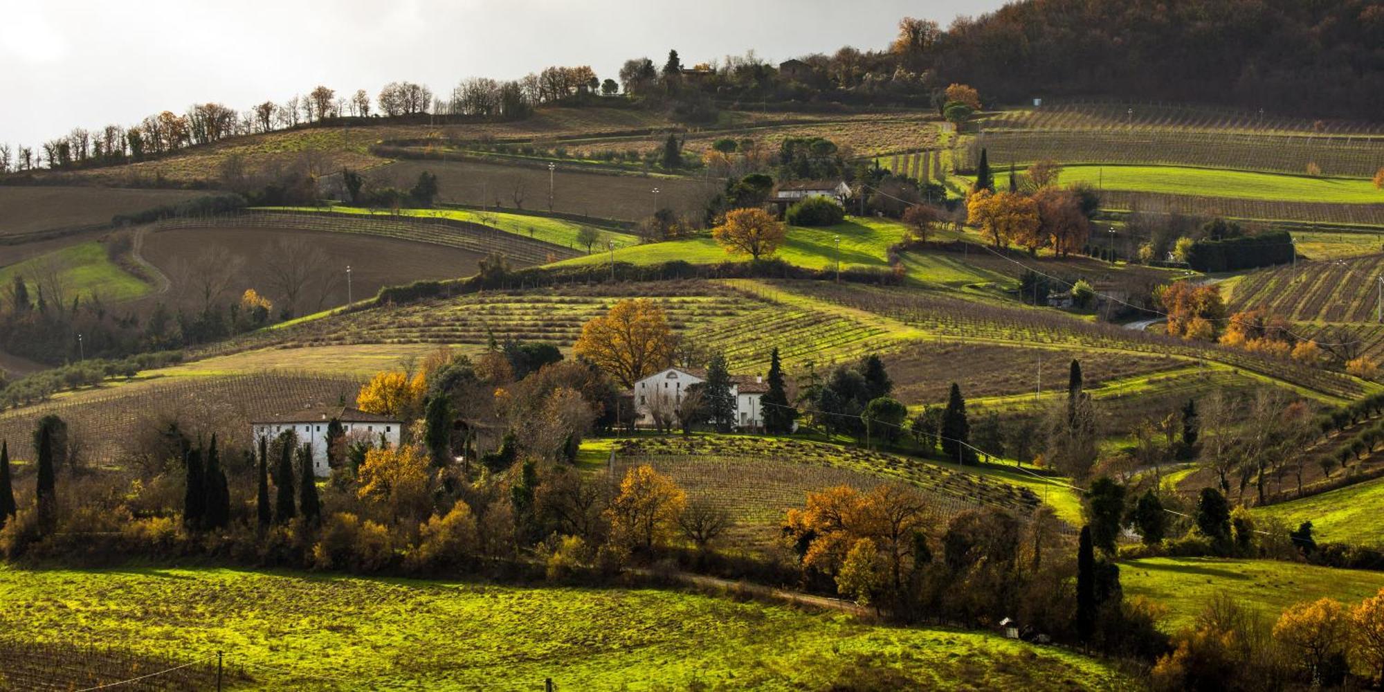 Séjour à la ferme Della Fortuna