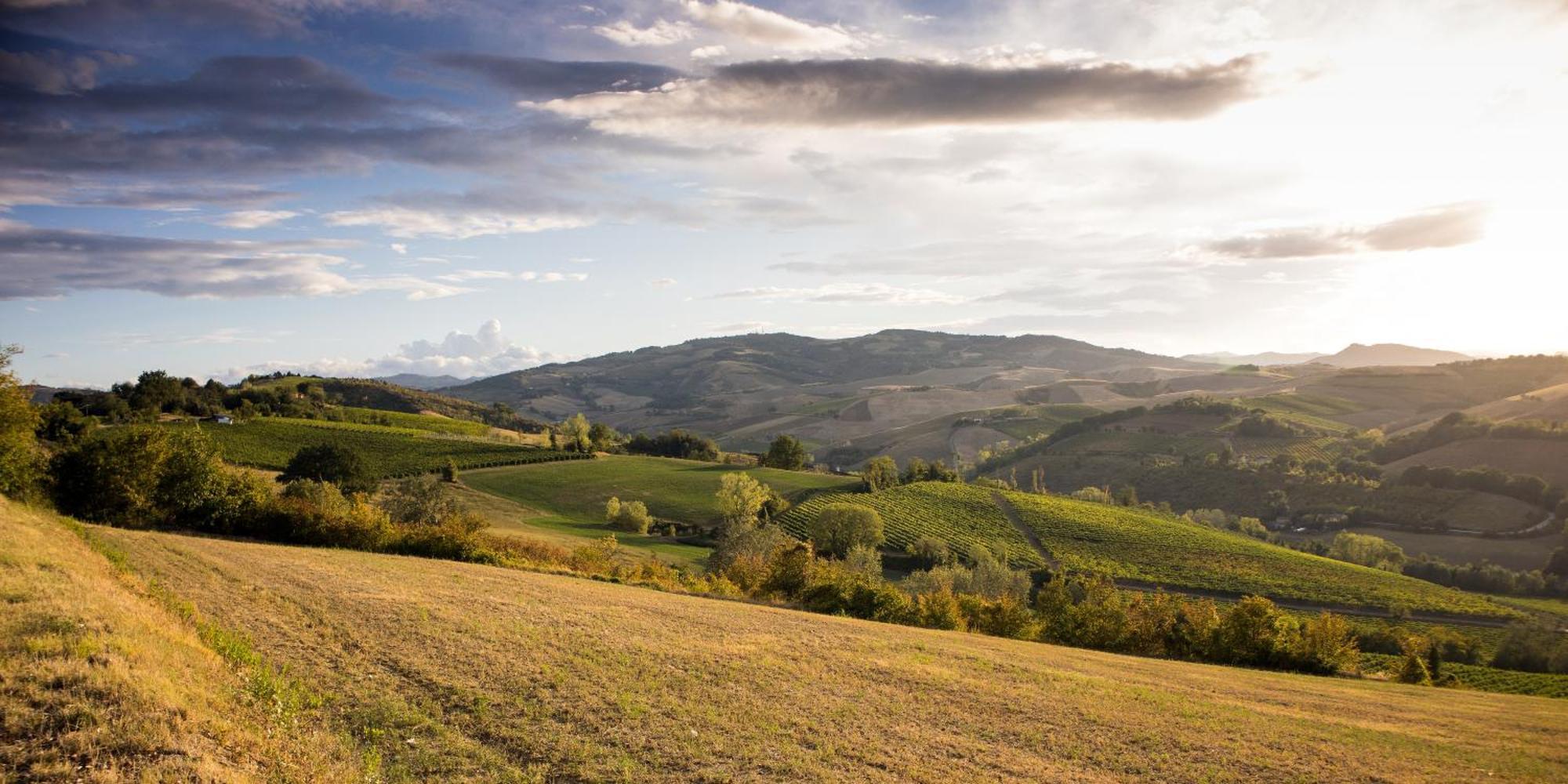 Della Fortuna Séjour à la ferme *