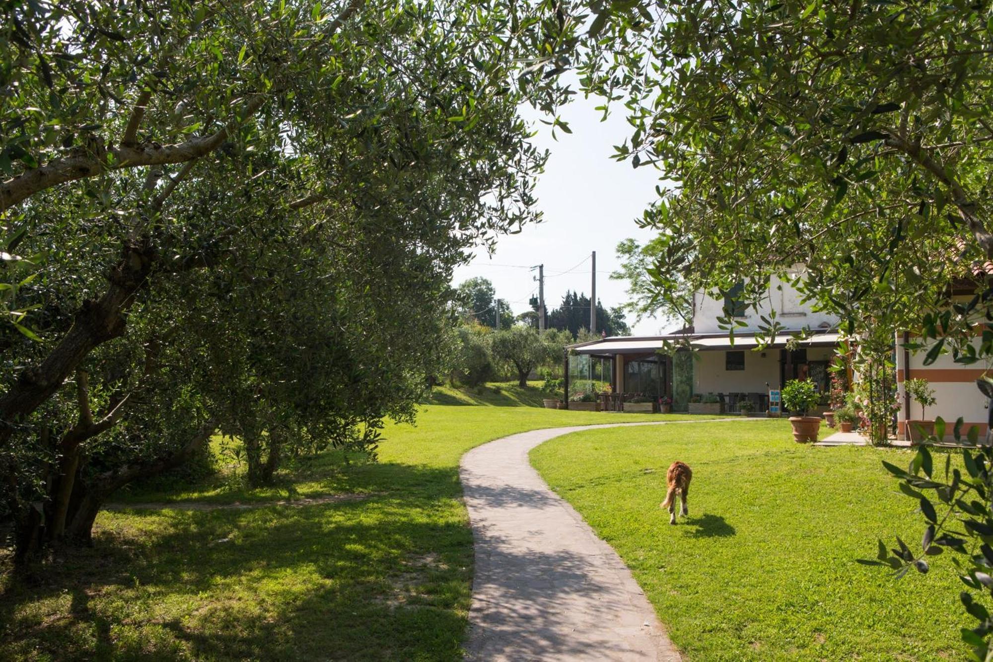 Séjour à la ferme Della Fortuna Faenza
